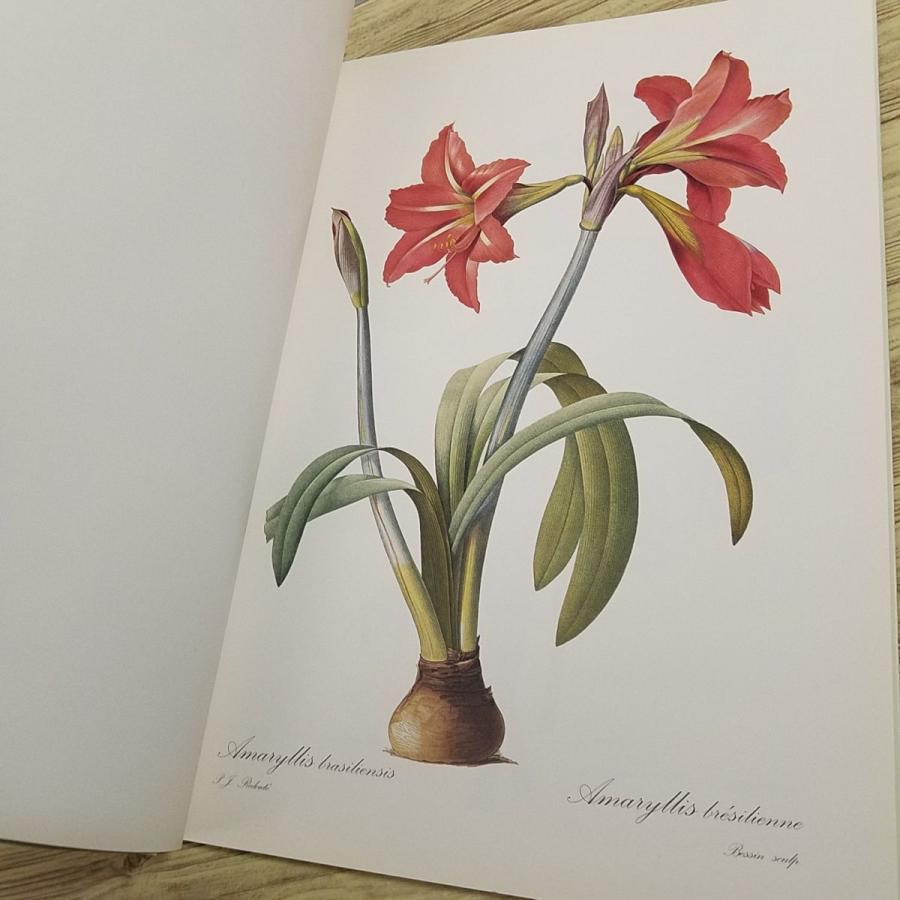 画集[ピエール＝ジョゼフ・ルドゥーテ Pierre-Joseph Redoute Fleurs