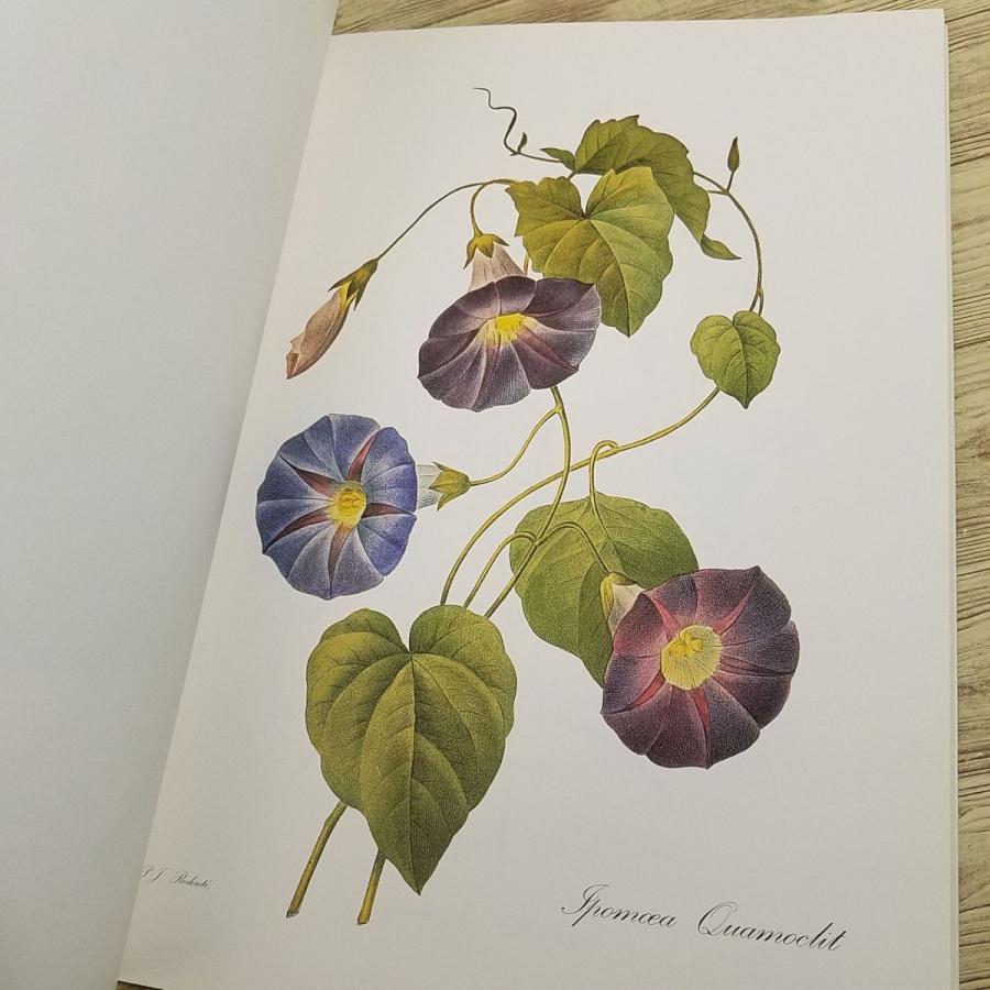 画集[ピエール＝ジョゼフ・ルドゥーテ Pierre-Joseph Redoute Fleurs