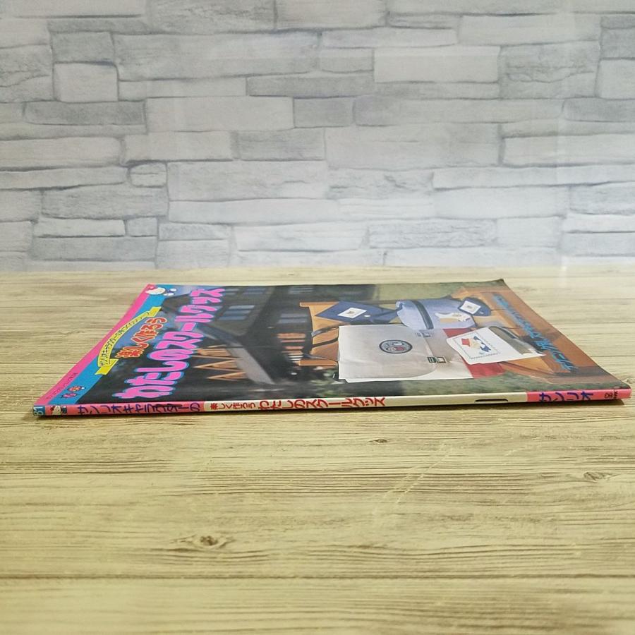 手芸系[サンリオキャラクターの手づくりシリーズ 楽しく作ろう わたし