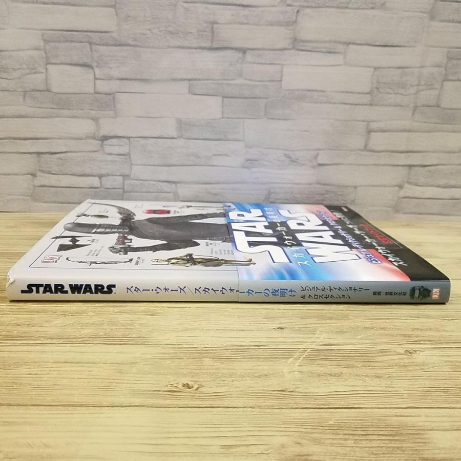 映画関連[スター・ウォーズ スカイウォーカーの夜明け ビジュアル