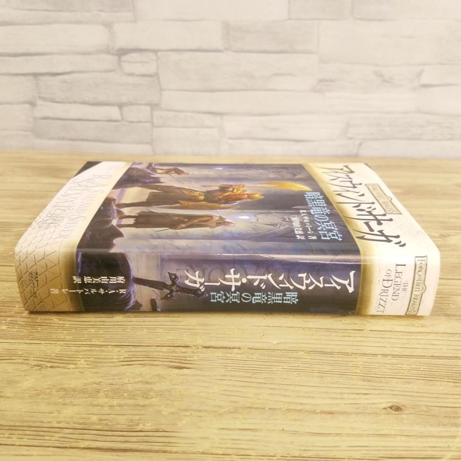 幻想小説[アイスウィンド・サーガ 暗黒竜の迷宮] D＆D フォーゴトン