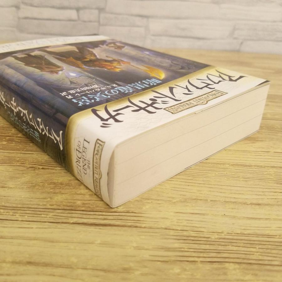 幻想小説[アイスウィンド・サーガ 暗黒竜の迷宮] D＆D フォーゴトン