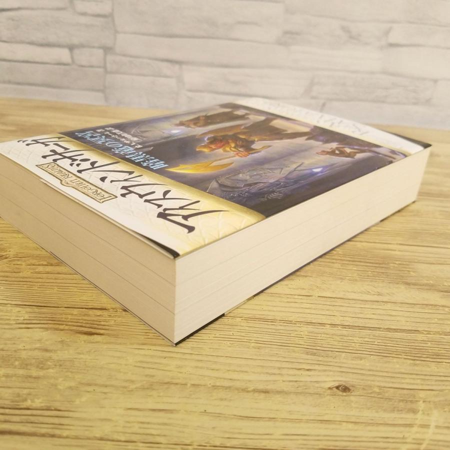 幻想小説[アイスウィンド・サーガ 暗黒竜の迷宮] D＆D フォーゴトン