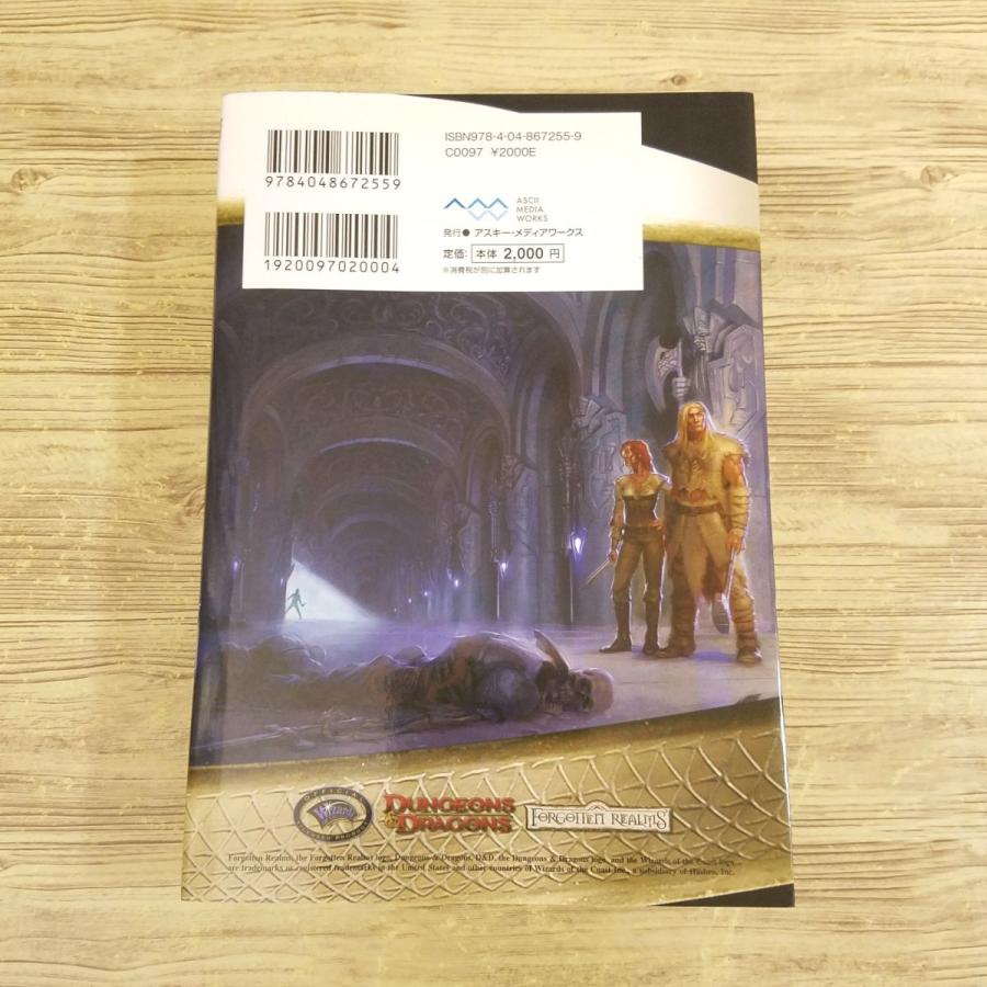 幻想小説[アイスウィンド・サーガ 暗黒竜の迷宮] D＆D フォーゴトン