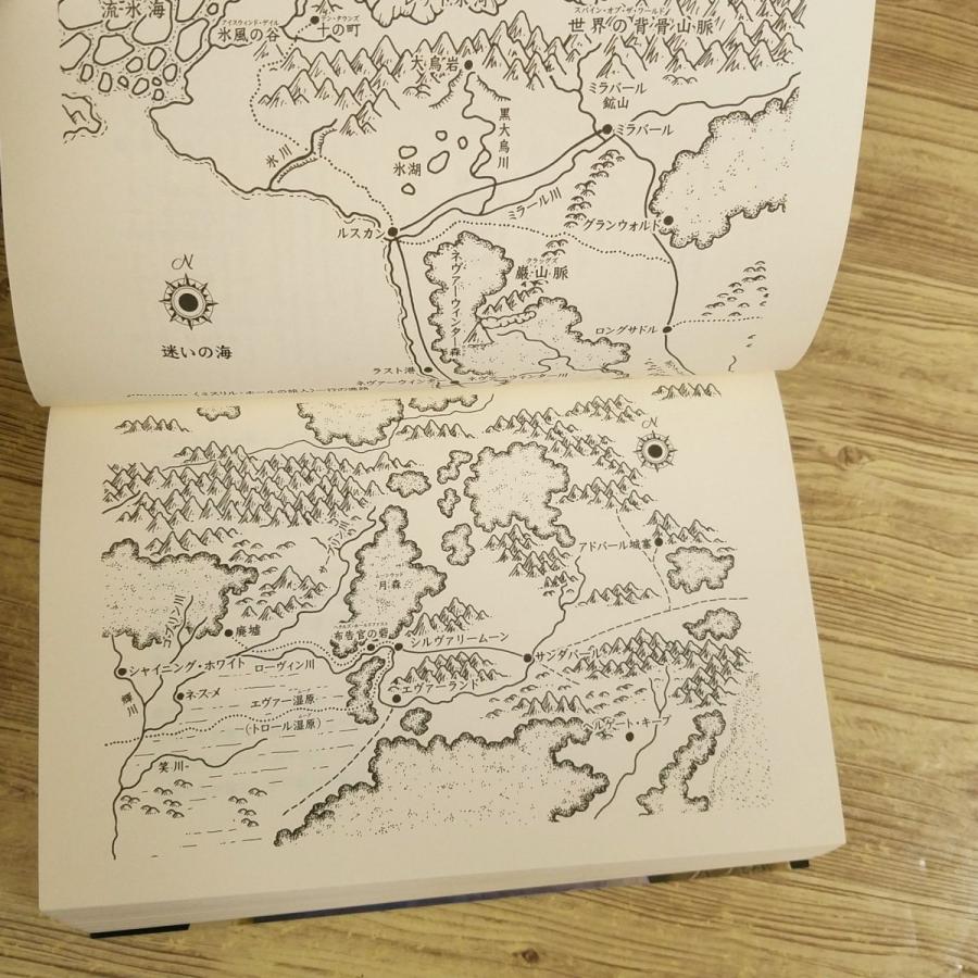 幻想小説[アイスウィンド・サーガ 暗黒竜の迷宮] D＆D フォーゴトン