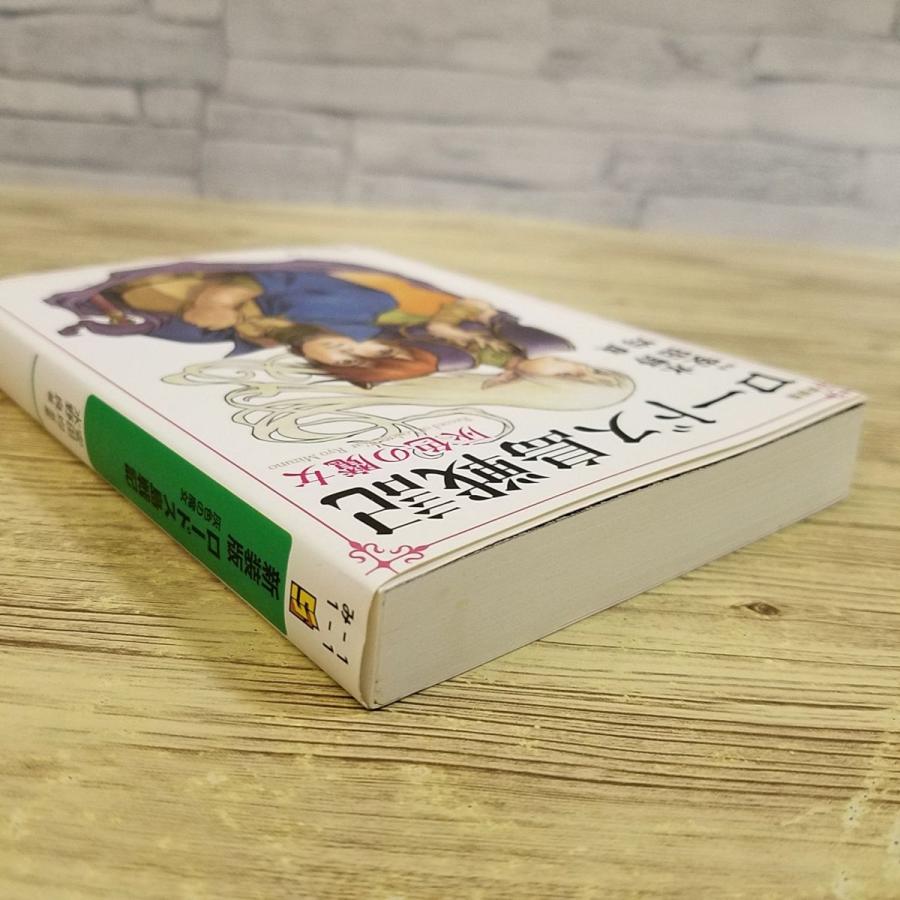 幻想小説[新装版 ロードス島戦記 灰色の魔女] 水野良 人気ファンタジー