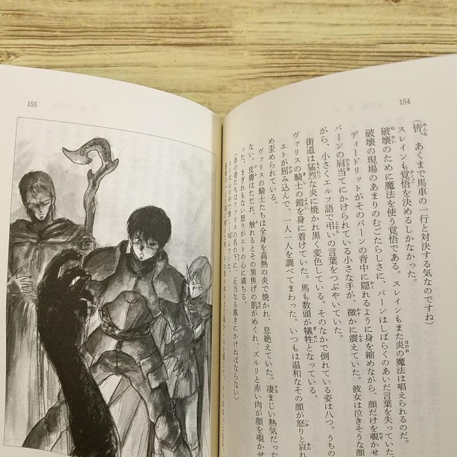 幻想小説[新装版 ロードス島戦記 灰色の魔女] 水野良 人気ファンタジー