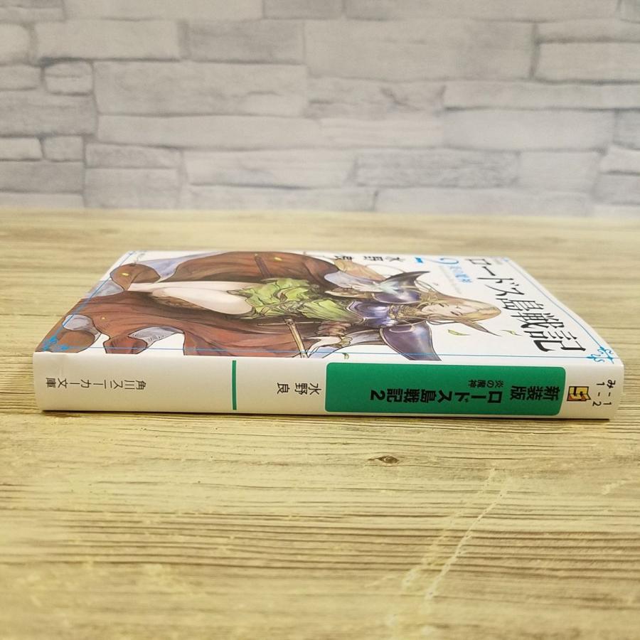 幻想小説[新装版 ロードス島戦記 2 炎の魔神] 水野良 人気ファンタジー