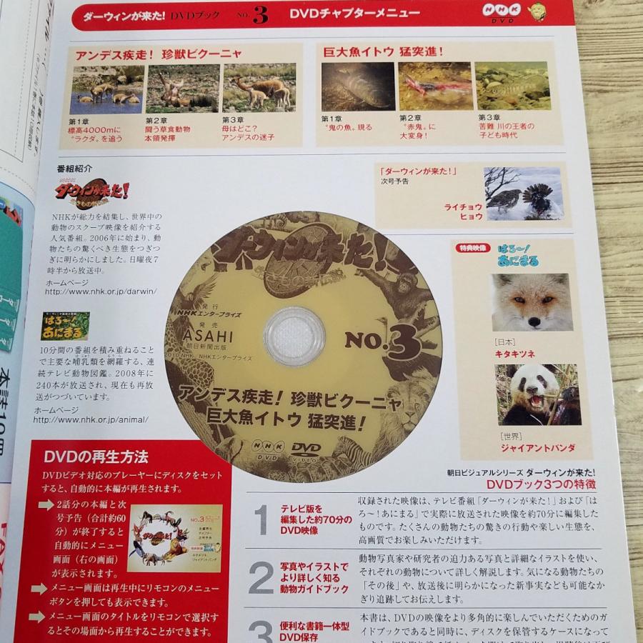 お値下げ　ダーウィンが来た! DVD付き冊子 1〜33巻 までのうち31冊セット ダーウィンが来た! DVDブック 39 42 - メルカリ