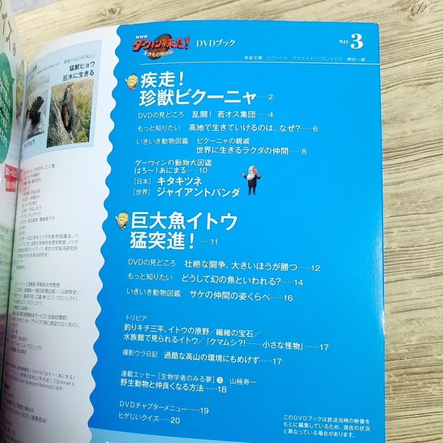 図鑑[NHKダーウィンが来た！DVDブック3 ビクーニャ／イトウ] 珍獣 DVD