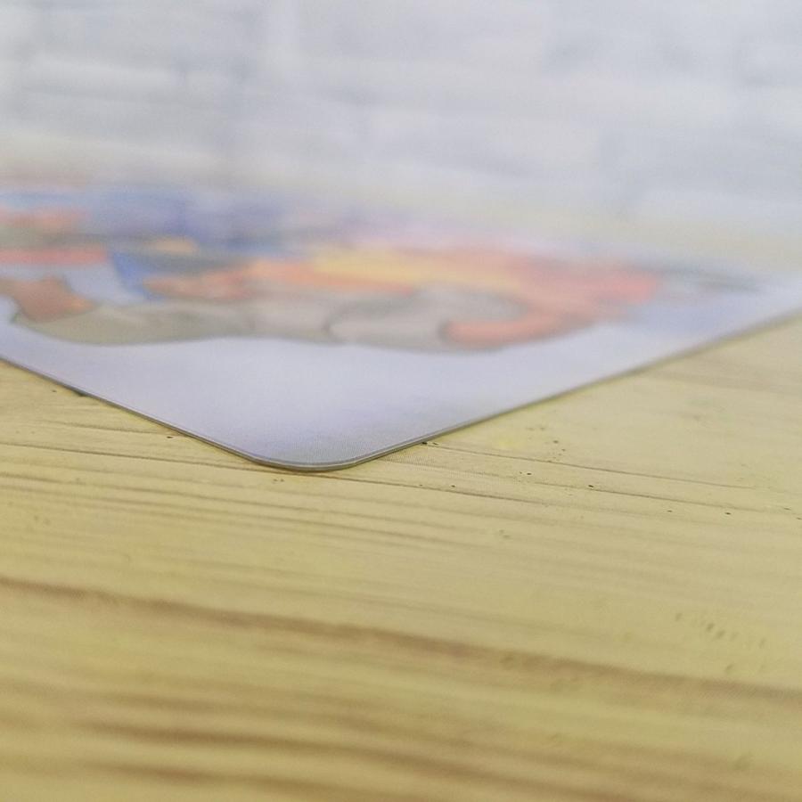 文房具[らんま1／2 下敷き 0989] 当時もの 女らんま 高橋留美子