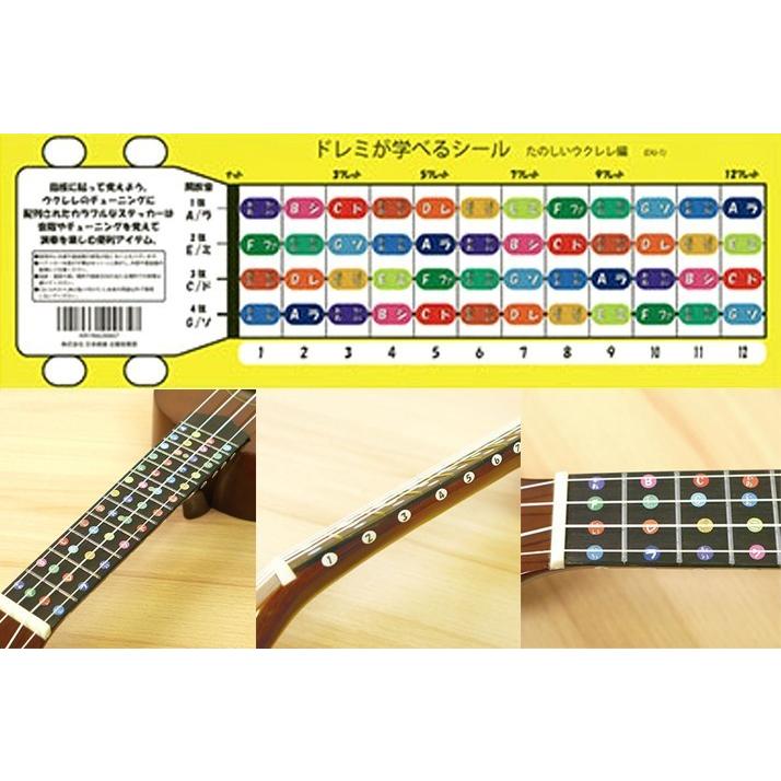 カニレア・ウクレレ入門セット｜ ISLANDER by Kanile'a / MS-4