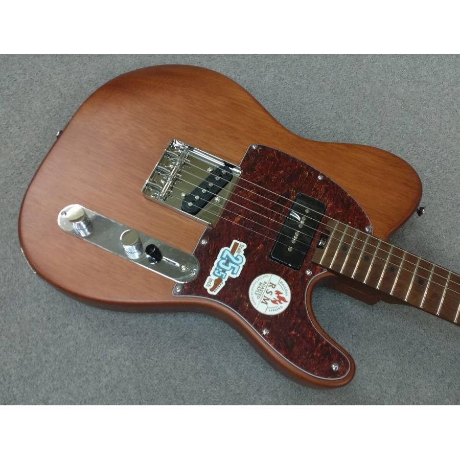 BUCCHUS（バッカス） Bacchus Global Series /TACTICS-STD/RSM BR-S