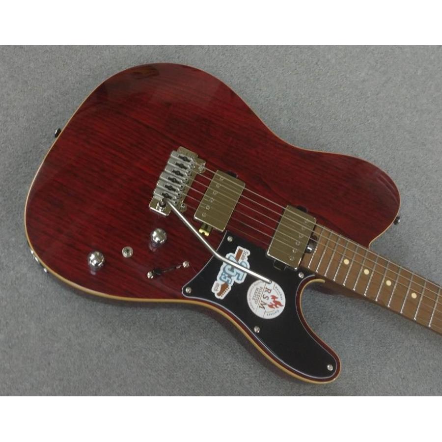 BUCCHUS（バッカス） Bacchus Global Series / TACTICS24-ASH/RSM (STR