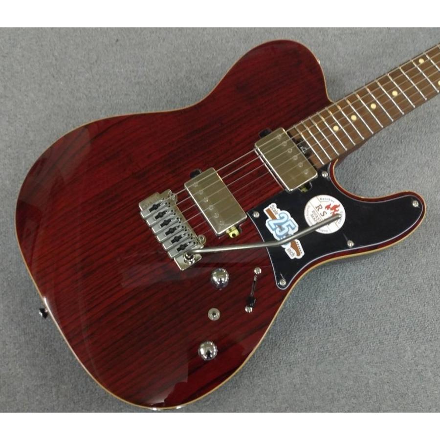 BUCCHUS（バッカス） Bacchus Global Series / TACTICS24-ASH/RSM (STR