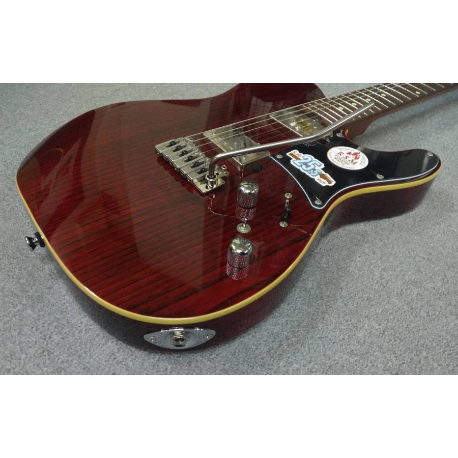 BUCCHUS（バッカス） Bacchus Global Series / TACTICS24-ASH/RSM (STR