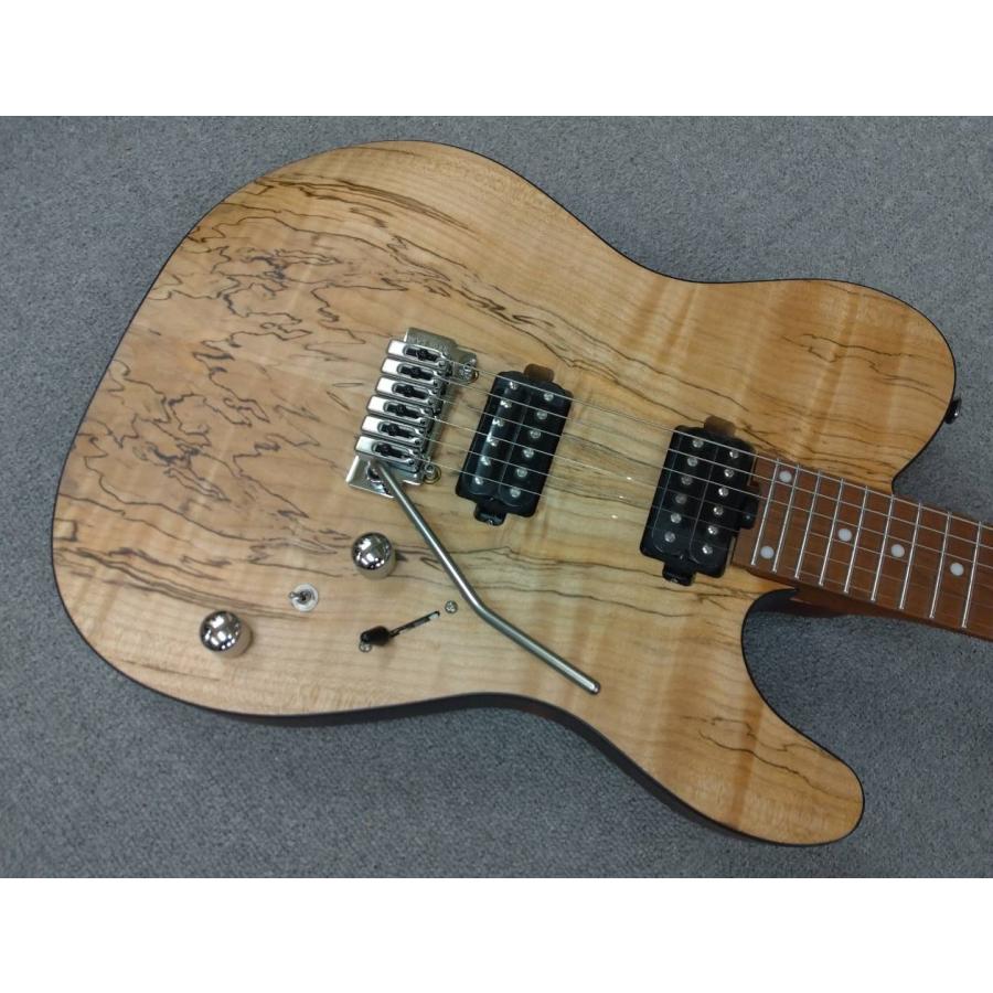 値下げ Bacchus バッカス TACTICS24-SPM RSM/M NAS electric-guitar-bacchus-