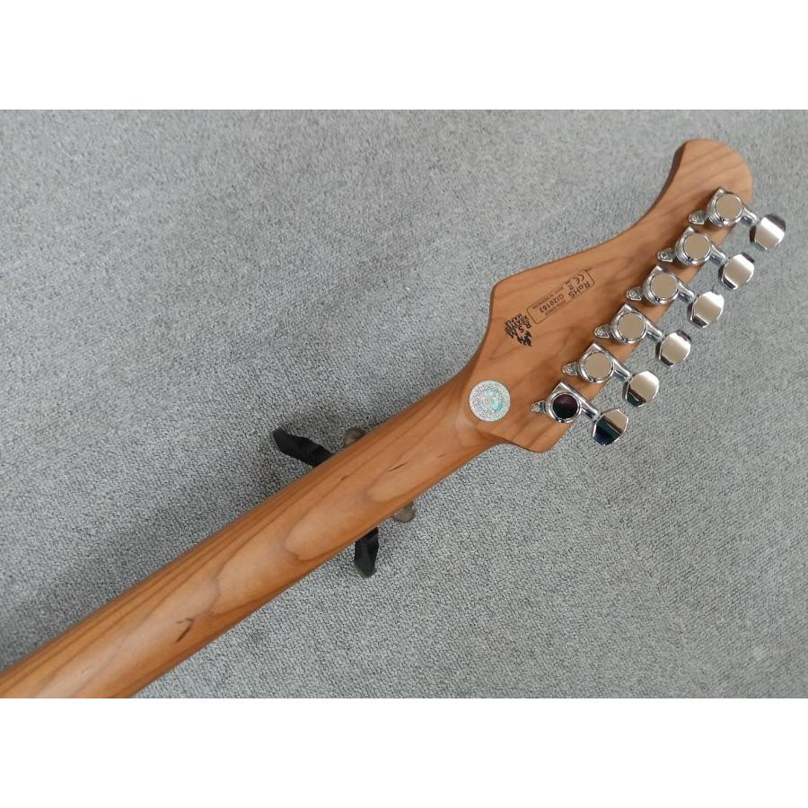 BUCCHUS（バッカス） Bacchus Global Series /TACTICS24-STD/RSM (OWH