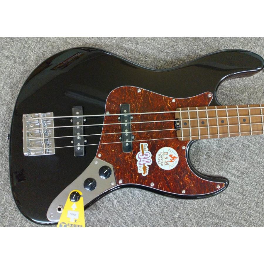 Bacchus GLOBAL Series WL4-STD/RSM (BLK/ブラック) ローステッド 