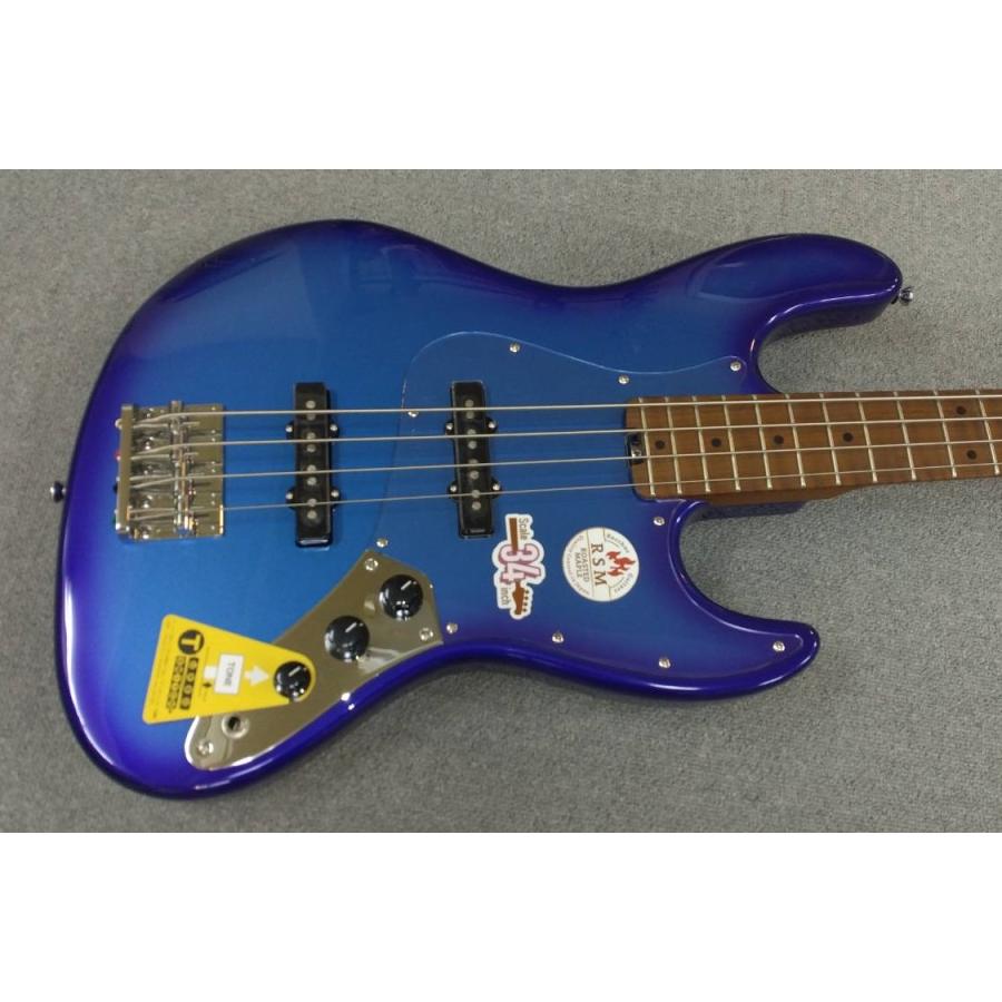 Bacchus（バッカス） Bacchus GLOBAL Series WL4-STD/RSM LPB-PPL-BS