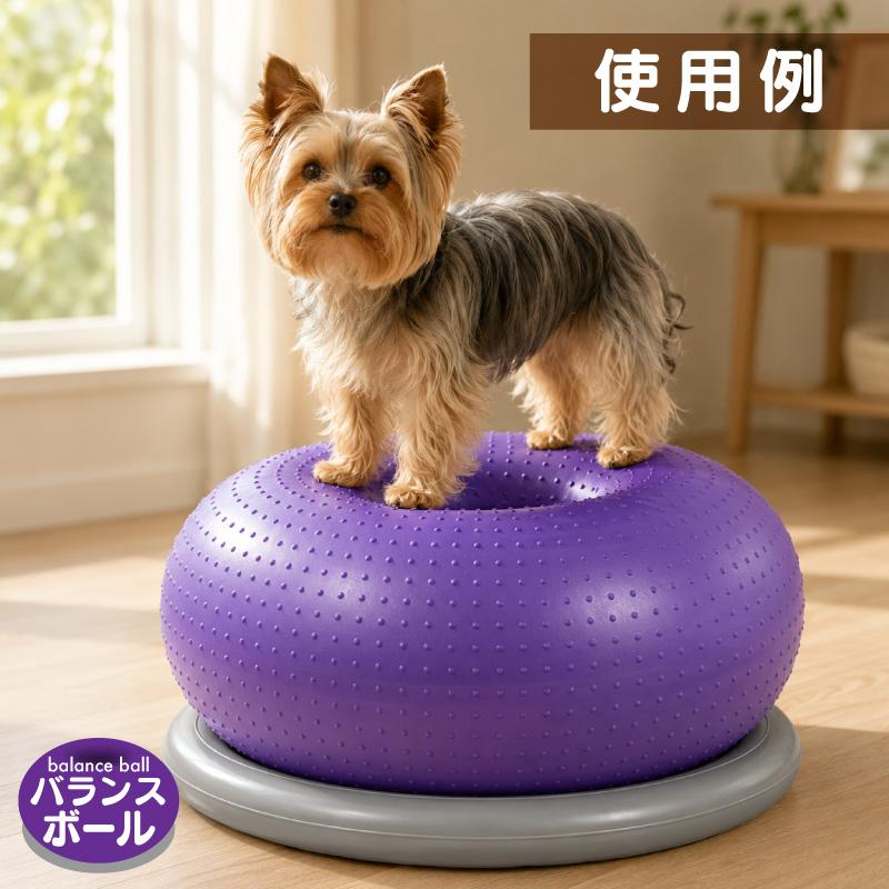 FUNKS バランスボール 犬 筋トレ 体幹トレーニング ドーナツ型 健康