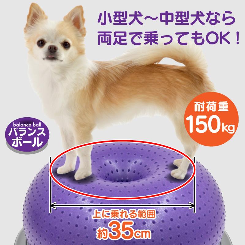 FUNKS バランスボール 犬 筋トレ 体幹トレーニング ドーナツ型 健康