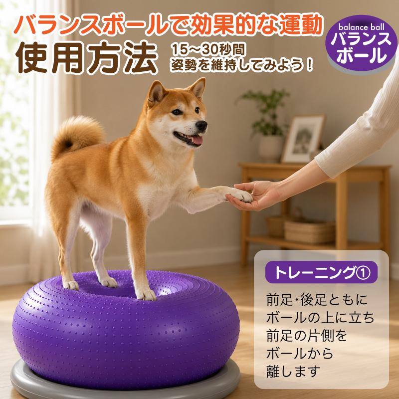 FUNKS バランスボール 犬 筋トレ 体幹トレーニング ドーナツ型 健康