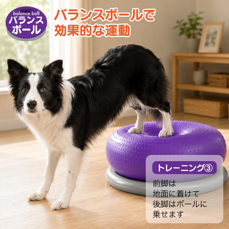 FUNKS バランスボール 犬 筋トレ 体幹トレーニング ドーナツ型 健康