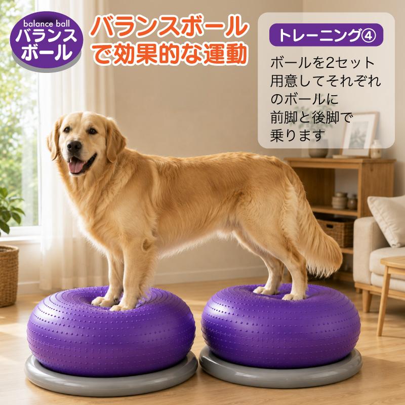 FUNKS バランスボール 犬 筋トレ 体幹トレーニング ドーナツ型 健康