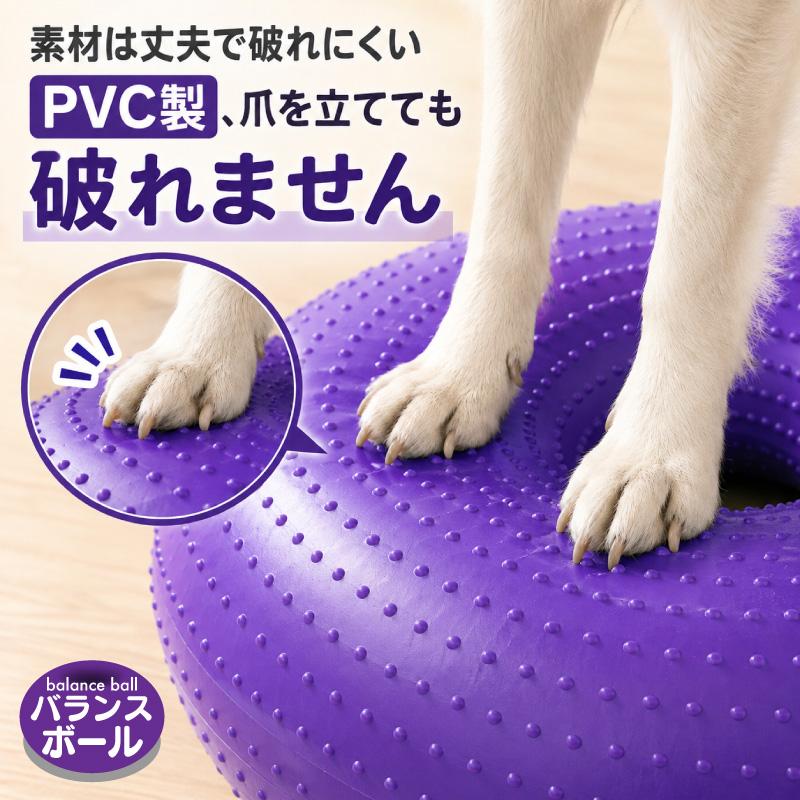 FUNKS バランスボール 犬 筋トレ 体幹トレーニング ドーナツ型 健康