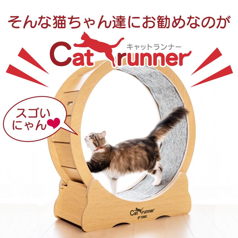 一年保証 FUNKS キャットホイール 猫 キャットランナー 90cm 自走式 運動 ホイール 運動不足解消グッズ : cat-wheel-m : ファンクスストア - 通販 - Yahoo!ショッピング 一年保証 FUNKS キャットホイール 猫 キャットランナー 90cm 自走式 運動 ホイール 運動不足解消グッズ : cat-wheel-m : ファンクスストア - 通販 - Yahoo!ショッピング