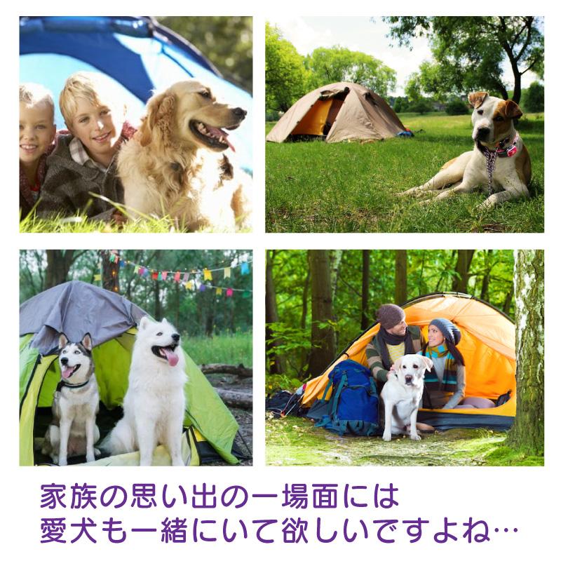 FUNKS ドッグアンカー 不動 犬用アンカー ドッグポール 大型犬 大型犬用 杭 係留 キャンプ |  | 09