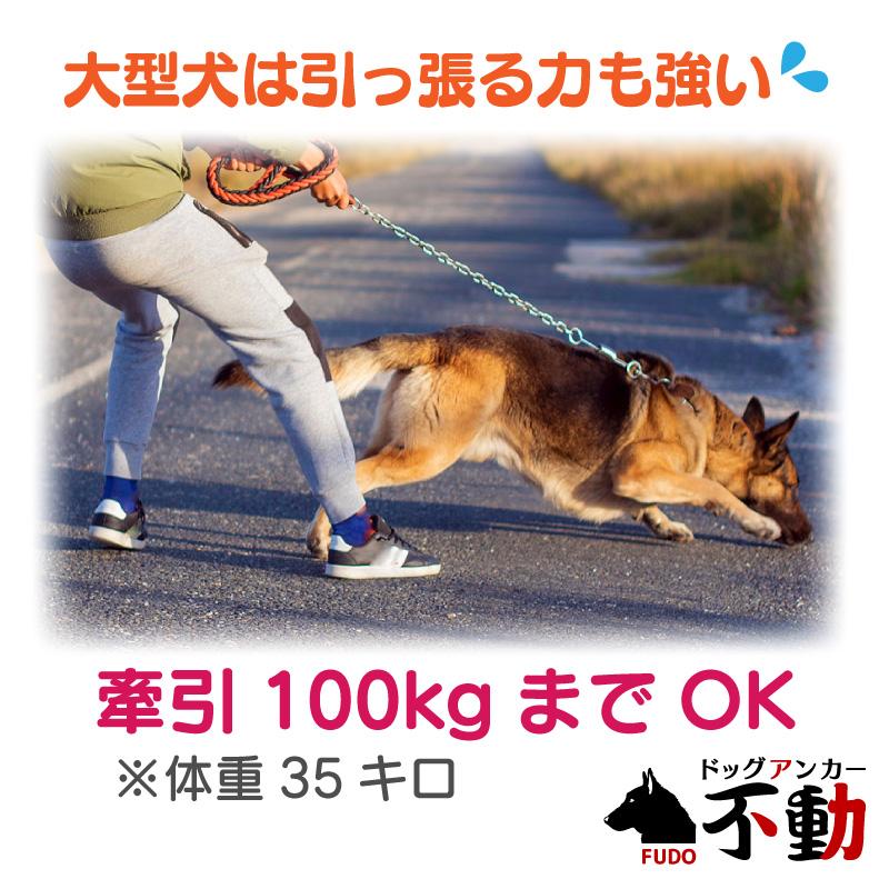 FUNKS ドッグアンカー 不動 ペグ・ボルトアンカーセット 犬用アンカー