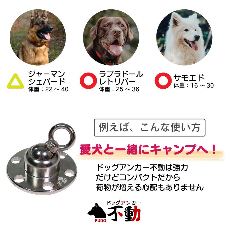 FUNKS ドッグアンカー 不動 ペグ・ボルトアンカーセット 犬用