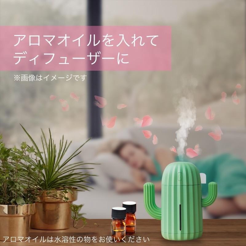 充電式 加湿器 サボテン コードレス 卓上 オフィス ポータブル 静音