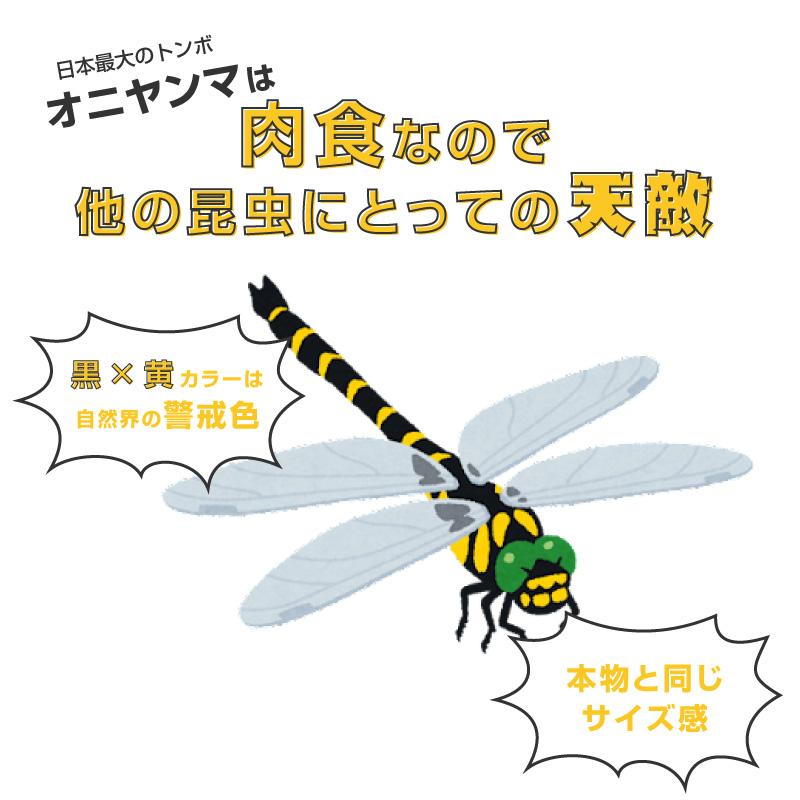 FUNKS オニヤンマ マグネット シール マグネットステッカー 13cm FUNKS オニヤンマ マグネット シール マグネットステッカー 13cm