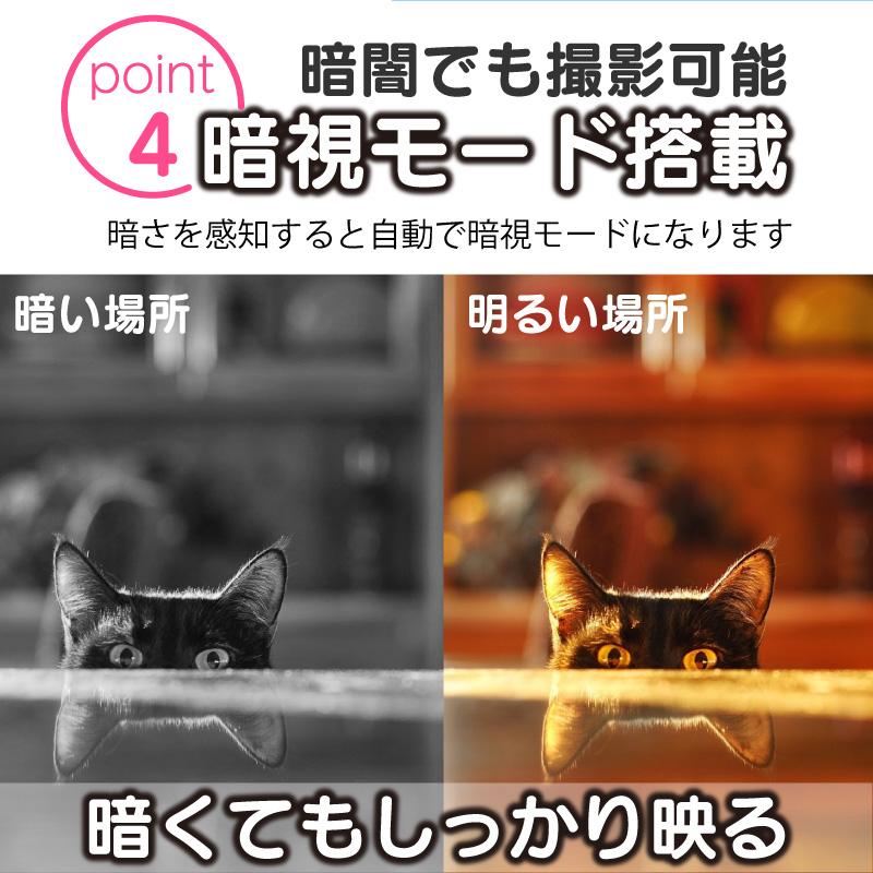 公式 メーカー保証 自動餌やり機 チャオポリス 自動給餌器