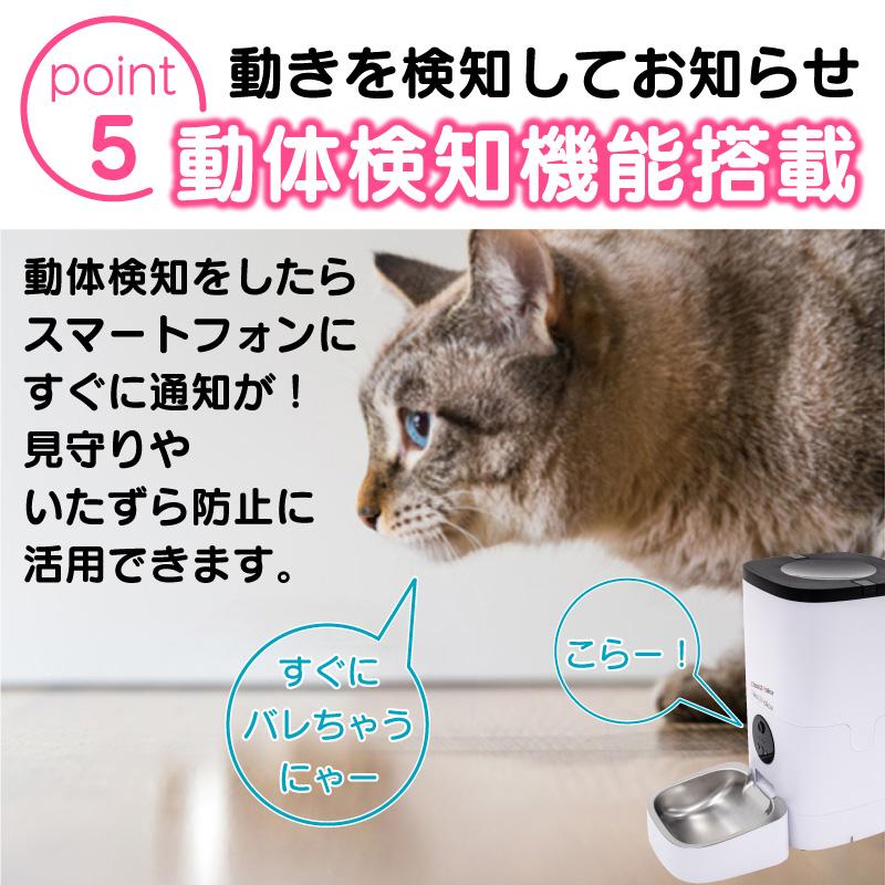 公式 メーカー保証 自動餌やり機 チャオポリス 自動給餌器 公式 メーカー保証 自動餌やり機 チャオポリス 自動給餌器