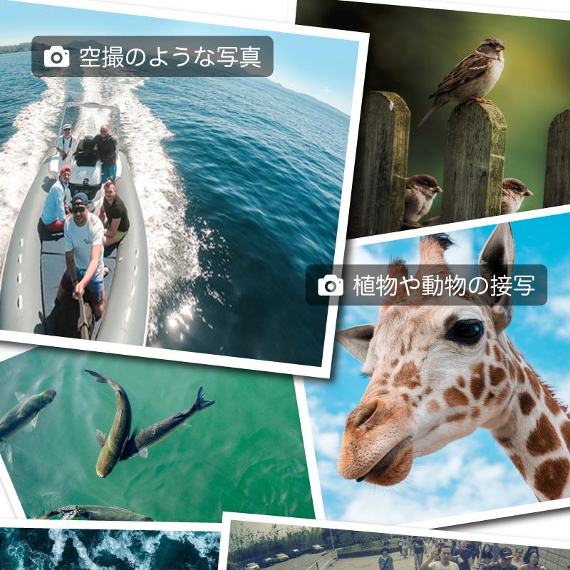 自撮り棒 ロング 5m セルカ棒 長い セルカ棒 スマホ Gopro用 Selfie Stick 5m ファンクスストア 通販 Yahoo ショッピング