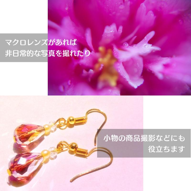 スマホ用 マクロレンズ 100mm 接写 : ファンクスストア - 通販