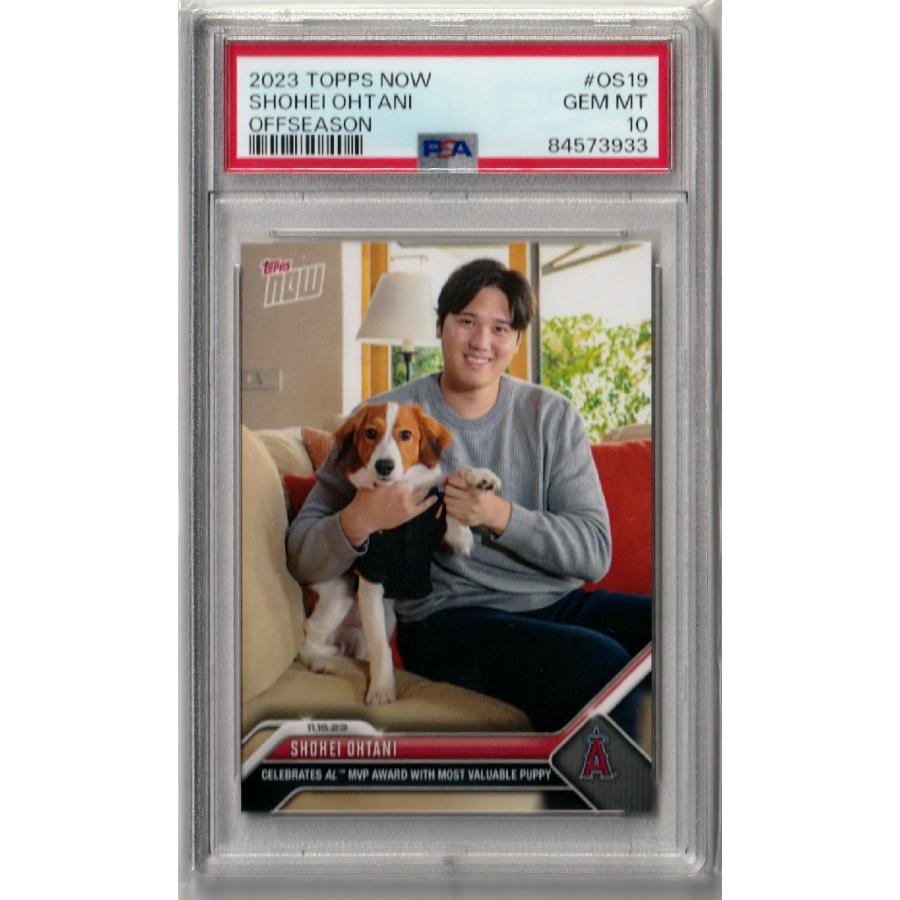 3連番 PSA10 大谷翔平 デコピン 3枚セット 3連番 PSA10 大谷翔平 デコピン 3枚セット 3連番 PSA10 大谷翔平