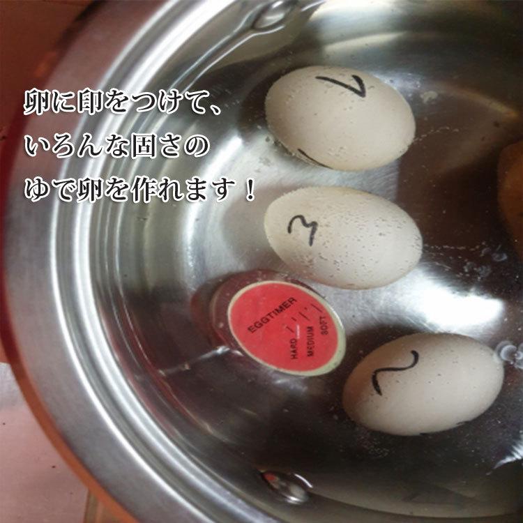 エッグタイマー ゆで卵調理道具 色の変化で卵のゆで具合がひと目で