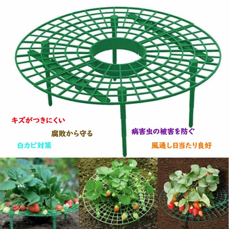 いちご植え支柱 2個セット 園芸支柱 野菜スタンド 誘引作業 白カビ