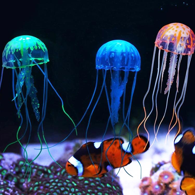 値下げ】未使用品 クラゲ用(クラゲ以外も飼育可) 60cm水槽10点セット