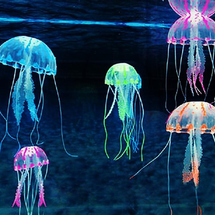 値下げ】未使用品 クラゲ用(クラゲ以外も飼育可) 60cm水槽10点セット