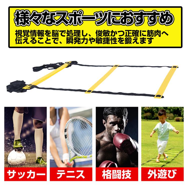 BEACHBODY スピードラダー2本セット　トレーニング　収納袋付　練習　器具　ステップ　はしご　SpeedLadder ビーチボディ 楽天市場】スピードラダー3.2 【マニュアル/キャリーバッグ 付