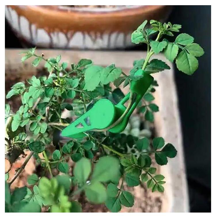 茎クリップ10個セット 角度調整可能 植物成長サポート 植物の枝や茎を