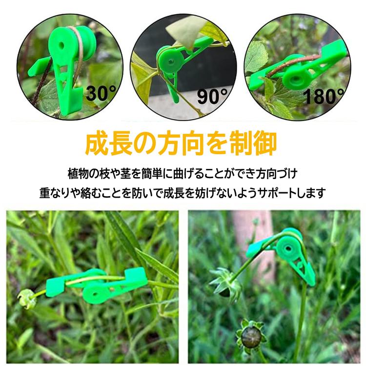 茎クリップ10個セット 角度調整可能 植物成長サポート 植物の枝や茎を