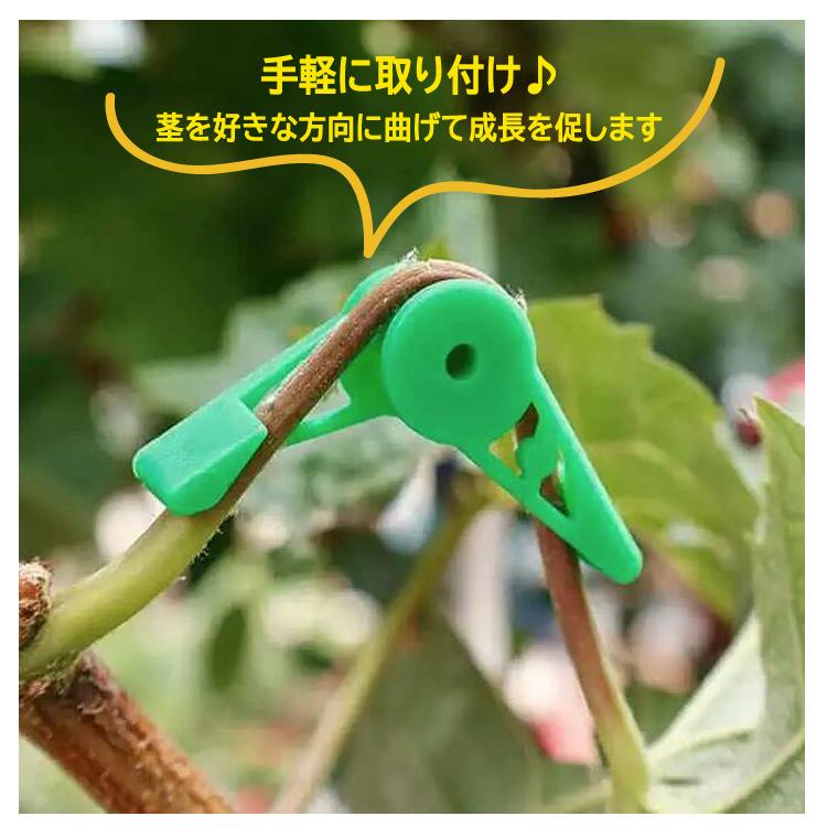 茎クリップ10個セット 角度調整可能 植物成長サポート 植物の枝や茎を