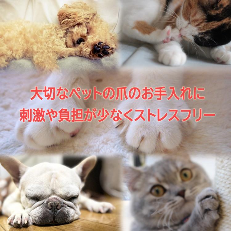 ペット用爪きり ヤスリ付き LEDライト付 ルーペ機能 5倍 血管を見つけやすい 爪飛散防止 爪収納カバー 安全設計 犬 猫  猫お手入れセット PETNC70 |  | 08